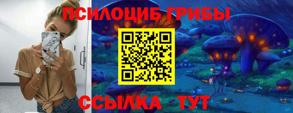 Галлюциногенные грибы Psilocybe Кыштым