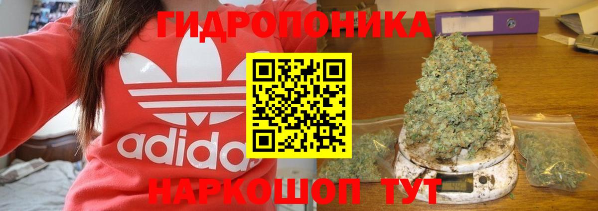 МАРИХУАНА семена Кыштым